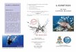 Lionfish as FOOD?????? ABSOLUTELY!!! · LIONFISH IN THE CAYMAN ISLANDS Phone: +(345) 949 8469 Web: E-mail: doe@gov.ky Cayman Islands Environmental Centre 580 North Sound Road George