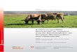Analyse ausgewählter Massnahmen zur Verbesse- rung der ...elsamifroma2040.ch/wp-content/uploads/2018/02/... · Massnahmen zur Verbesse-rung der Nachhaltigkeit in der Schweizer Milchproduktion