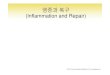 염증과복구 (Inflammation and Repair) - KOCWcontents.kocw.net/KOCW/document/2014/Chungang/KIMMikyung/... · 2016. 9. 9. · Effects of Inflammation • 국소적 – 혈관확장: