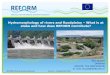 Hydromorphology of rivers and floodplains – What is at ... · Flood management 20 1 21 Integrated River Basin Management 26 1 27 River & floodplain restoration 17 114 131 ... Recap