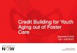 Credit Building for Youth Aging out of Foster Care · Credit-builder loans Secured cards Lending circles Rent reporting Twin Accounts These products are often paired with services