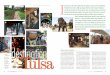 Tulsa taste tidbits Tulsa...68 MODERN arabian horse • Issue 3 / 2012 Issue 3 / 2012 • MODERN arabian horse 69 1. Philbrook Museum of Art 2. River Parks 3. Cherry Street 4. Flemings