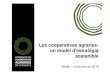 Enginyers Agrònoms de Catalunya - Les cooperatives agràries: un … · 2016. 10. 5. · Casos d’economia circular: Enginyer Agrònom • L'economia circular consisteix a optimitzar
