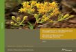 Houghton's Goldenrod Ontario Recovery Strategy · Ministry of Natural Resources and Forestry, Peterborough, Ontario. vi + 31 pp. Cover illustration: Houghton's Goldenrod on the Bruce