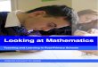 Looking at Mathematics - assets.gov.ie · Single sex schools - girls 10 20 Single sex schools - boys 8 16 Total 50 100 . School size