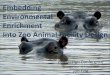 Embedding Environmental Enrichment Into Zoo Animal ... · PDF file AZA Enrichment School 2000 AZA AWC formed Enrichment Training Behavioral Husbandry Animal Welfare 2003 EE for Captive