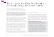 Test og tidlig indsats i Silkeborg Kommune · PDF file Helle Kathrine Wrang Klinge lavet en case. I casen følger vi to fiktive børn, Mark og Anna, der begge er i risiko for at udvikle