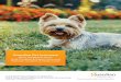 Guardian Pet Insurance Pet Policy Booklet€¦ · 4.4 Overseas Pet Travel 25 Section 5 – Optional Benefit 25 5.1 Routine Care 25 Section 6 – General Exclusions (what we do not