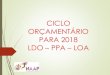 CICLO ORÇAMENTÁRIO PARA 2014 LDO - PPA - LOAnaap.com.br/downloads/ciclo_orcamentario_para2018_ldo...disciplinar e orientar os diversos aspectos envolvidos no processo de planejamento