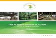 Etat du secteur forestier en Afrique : défis et opportunités ... Etat du secteur forestier en Afrique : défis et opportunités 6 poisson et la viande de brousse, les insectes comestibles,