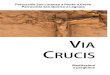 VIA CRUCIS - Ponte a Greve · 2020. 3. 13. · Via Crucis, Via Lucis. Via Crucis, «via della croce», è quel cammino che Gesù ha percorso nel mattino del venerdì 7 aprile dell’anno
