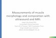 Measurements of muscle morphology and composition with ...•Gross muscle morphology and muscle function. •The physics of ultrasound. –B-mode, Doppler, Elastography. •The physics