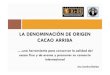 LA DENOMINACIÓN DE ORIGEN CACAO ARRIBA · ecuador: cacao arriba , sombreros de montecristi es una indicaciÓn geogrÁfica constituida por la denominaciÓn de un paÍs, de una regiÓn
