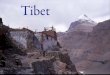 Förord. · 2015. 11. 2. · dessa folkmord vet man ännu mindre än om folkmordet i Tibet, då Kina alltid metodiskt bemödat sig om att utplåna all vittnesbörd. Denna metodik