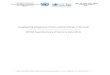 Investigating Allegations of Extra-Judicial Killings in ... · 3Report of the Special Rapporteur on Extrajudicial, Summary or Arbitrary Executions on the situation in the United States