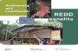 Biodiversity and Livelihoods: REDD - CBD...REDD and REDD-plus (when re-ferring to the full range of possible REDD activities) are used without any attempt to pre-empt ongoing or future