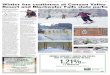 2 OUTLOOK: Travel & To urism February 21, 2016 Winter fun ...advertising.wvgazettemail.com/wp-content/uploads/... · Blackwater Falls State Park boasts a 54-room lodge, 39 vacation