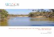 Review of historical use of water: Barmah to the SA Border · 2020. 4. 24. · Review of historical use of water: Barmah to the SA Border ii MDB00002_R_water use review_final 2.docx