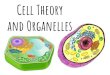 Cell Theory and Organelles - … · Cell Theory and Organelles. Cell Theory & Organelles Organelles Cartoon •