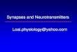 Synapses and Neurotransmitters Loai.physiology@yahoo · PDF file Synapses and Neurotransmitters Loai.physiology@yahoo.com. ... Neurotransmitters •More than 50 chemical substances
