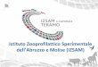 Istituto Zooprofilattico Sperimentalefoodqa.just.edu.jo/Documents/IZSAM Presentation_Pomilio.pdf · Main Tasks •Research on etiology and pathogenesis of animal infectious diseases