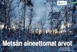 Metsän aineettomat arvot · Metsien virkistyskäyttö, maisema-arvot ja luontomatkailu Suomen metsissä voi liikkua, marjastaa ja sienestää vapaasti Todettu vaikuttavan myönteisesti