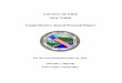 COUNTY OF ERIE NEW YORK Comprehensive Annual Financial … · INTRODUCTION . This report was prepared by the Erie County Comptroller's Office in ... Research for Health in Erie County,