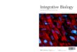 Integrative Biology book of choice’bcui/Publication/2009 Cell culture... · approximately 1 mm. 1 mm period molds were fabricated by DUV lithography and RIE with a linewidth and
