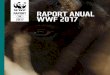 RAPORT RAPORT ANUAL 2017 WWF 2017 · Raport anual WWF România 2017 11 Sturionii din Dunăre, prioritate WWF la nivel internaţional Anul acesta am lansat Strategia Globală de Conservare