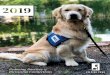 IMPACT REPORT - Helping Paws...For the fiscal year, we placed 14 service dogs – 11 of which were service dogs placed with individuals with disabilities or with veterans. As the organization