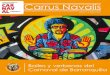Carnaval de Barranquilla – Patrimonio Cultural Inmaterial ...€¦ · Carnaval de Barranquilla la experiencia de participar, mantener y ... Carrus Navalis una plataforma educativa