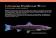 Lahontan Cutthroat Trout · Lahontan Cutthroat Trout (Oncorhynchus clarkii henshawi)Data: Lahontan Cutthroat Trout Recovery Plan, 1995; A Business Plan for the Conservation of the