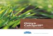 Omya Calciprill AGR...Omya Calciprill® Omya Calciprill® är en 2–6 mm granulerad kalkprodukt bestående av mycket finmald höghaltig kalciumkar-bonat. Den sprids enkelt med gödningsspridare