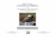 Chevêche des terriers (Athene cunicularia) · 2006. 8. 29. · Les rapports de situation du COSEPAC sont des documents de travail servant à déterminer le statut des espèces sauvages