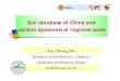 Soil database of China and carbon dynamics at regional scale · Soil database of China and carbon dynamics at regional scale Xue-Zheng Shi Institute of Soil Science, Chinese Academy