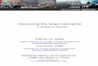 Governing the large metropolis - Sciences Po/2441/8kbfvpahkhqtss09oa0j65136/... · compare Istanbul, London, Mexico, Paris, Sao Paolo, with colleagues in those different cities. The