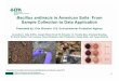 Bacillus anthracis in American Soils: From Sample ...nemc.us/docs/2015/presentations/Mon-Current Topics...Bacillus anthracis Spores in Soi • B. anthracis, the etiologic agent of