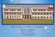 BLUE BELLS PUBLIC SCHOOL · BLUE BELLS PUBLIC SCHOOL Sector – 10, Gurugram – 122001 Phones: 9811945543 9811868241/242 Web: E-mail: bbpublic@bluebells.org E-Newsletter Result Edition