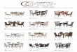 OUR BEST SELLERS€¦ · OUR BEST SELLERS NOVEMBER 2017 Casual Dining Rooms • Counter/Gathering Height. 1 D596-35 2 D594-35 7 D714-45 9 D553-35 4 D624-35 5 D626-35 3 D506-35 8 D442-45
