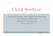 Child Welfare Presentation Children's Services Bureau of Palm …cdn.trustedpartner.com/docs/library/ChildrensServicesCouncil2011/… · Evidence Based Practice Medicine: The integration