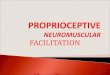 Proprioceptive neuromuscular facilitation (PNF) RHS 323kanpuruniversity.org/pdf/P.N.F._070520.pdf · 4. PNF (Proprioceptive neuromuscular facilitation): These techniques may be defined