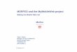 MORFEO and the MyMobileWeb project - World Wide Web … · Knowlege = knowledge in web 2.0 + structured semantics of data and services (folksonomies and ontologies fully integrated)