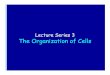 Lecture Series 3 The Organization of Cellsfire.biol.wwu.edu/cmoyer/zztemp_fire/biol205_W12/lect03.pdfThe Organization of Cells Reading Assignments • Read Chapter 15 Endomembrane