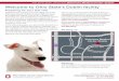 Welcome to Ohio State’s Dublin facility · Thank you for allowing The Ohio State University Veterinary Medical Center–Dublin (VMC) to serve the healthcare needs of your pet. In