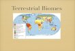 apes- terrestrial biomes presentation 2 · Temperate In geography, temperate latitudes of the globe lie between the tropics and the polar regions. The changes in these regions between