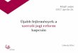 Újabb fejlemények a szerzői jogi reform kapcsán fejlemenyek szerzoijogi reform_20170426.pdfA szerzői jogi keretrendszer modernizálásáról szóló Közlemény (2015 december)