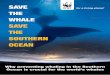 SAVE THE WHALE SAVE THE SOUTHERN OCEANassets.panda.org/downloads/wwf_savethewhale_web.pdf · Ocean for whale conservation can not be overstated. Whilst the Southern Ocean is important
