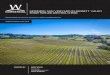 MORNING SUN VINEYARD IN BENNETT VALLEY · 2019. 6. 13. · MORNING SUN VINEYARD IN BENNETT VALLEY 116 MARY PAIGE LANE, SANTA ROSA, CA 95404 AGRICULTURAL FOR SALE. PROPERTY INFORMATION