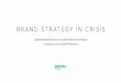 BRAND STRATEGY IN CRISIS - roswellstudios.com€¦ · Customer Retention Strategy is a holistic approach utilizing the seven pillars as spokes on a wheel with email & SMS as the hub
