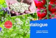De Bolster Organic Seeds - 2020 Catalogue · our customers high-quality seeds certified 100% organic, GMO-free and delivered on time. Our vision All our seeds are organically produced
